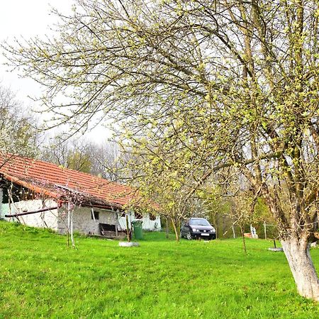 La Salasul Fermecat In Cheile Carasului Iabalcea Zewnętrze zdjęcie