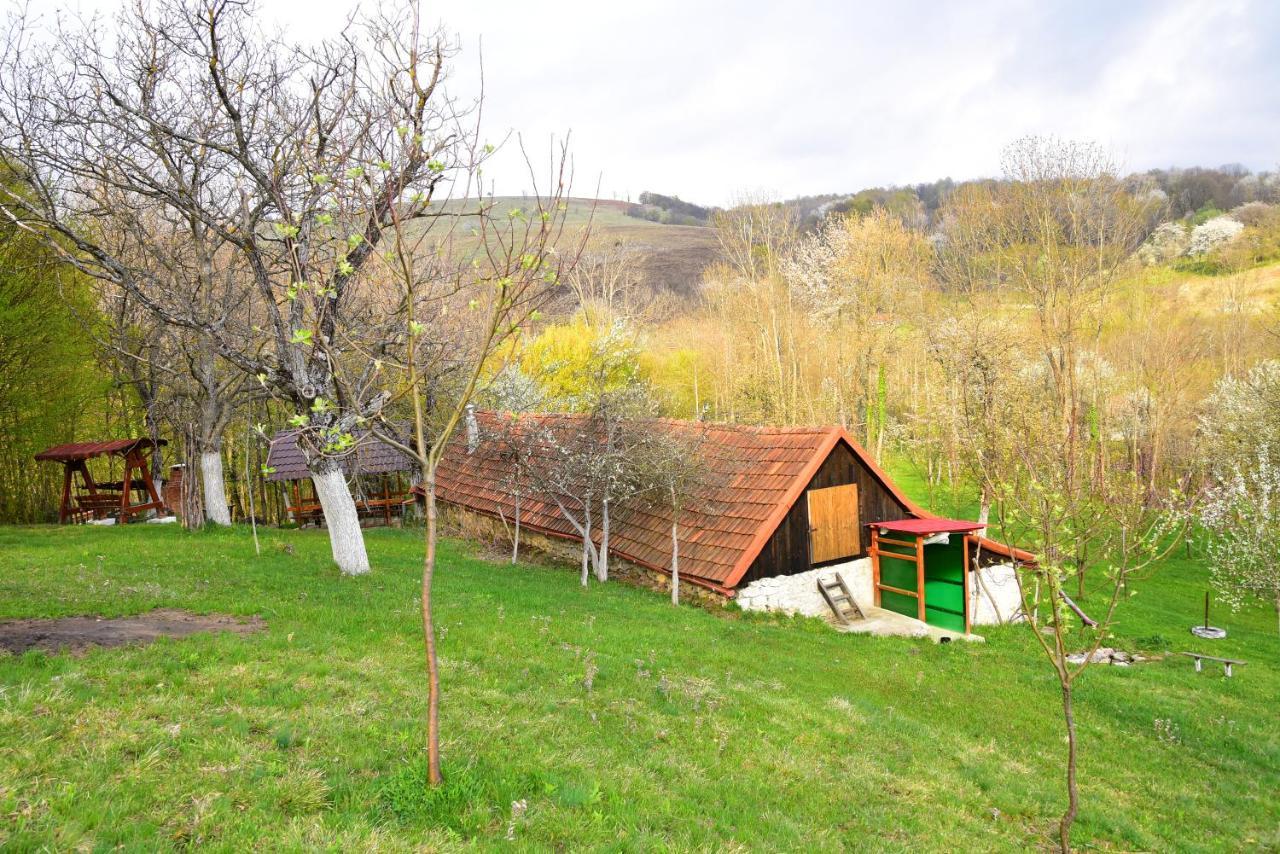 La Salasul Fermecat In Cheile Carasului Iabalcea Zewnętrze zdjęcie